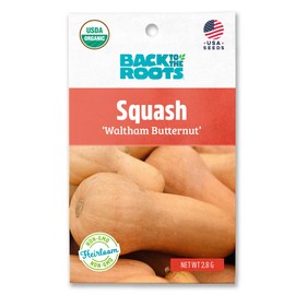 Back to the Roots - 100% Organic Seed Packet - Squash 'Winter Waltham Butternut' 2.8g