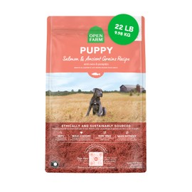 Open Farm, Ancient Grains Dry Dog Food for Puppies, Protein-Rich & Nutrient Dense, 90% Animal Protein Mixed with Non-GMO Fruits, Veggies and Superfoods, Salmon Recipe for Puppy, 22lb Bag