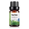 Naturalcare Aceite Esencial De Árbol De Té 100% Natural Puro