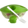 Salad Box Set Consisting of Salad Box, Fork and Dressing