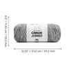 Caron CAR Jumbo Ombre White Water Yarn - 2 Pack