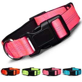 BLAZIN Reflective Dog Collar - Vibrant Color for Day and Night - Soft Neoprene Padded Collar - Adjustable Sizing -'Color Me Happy!' Dog Collars - Brighter Means Safer - (Small, Pink)