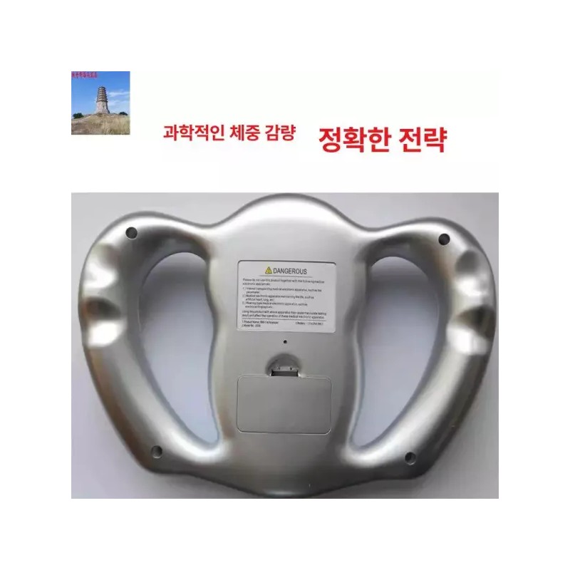 InBody 휴대용 체지방 인바디 신체 측정기 가정용 [BMI 스마트 전자