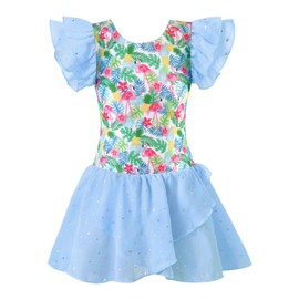 Girls Gymnastics Leotards Ballet Dance Outfit 6 7 Toddler Leotard Tutu Dress Flutter Sleeves Blue Flamingos Ballerina Dancewear (Blue, 6-7 Years)