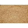 Creeping Red Fescue Seed by Eretz (3lb) - CHOOSE SIZE!