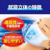 [Kunutonn] 小林製薬 のどぬ~るぬれマスク 立体タイプ 昼夜兼用 ハーブ&ユーカリの香り + 無香料 + 就寝用
