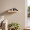 HOOBRO Wood Cat Wall Shelf, Cat Hammock and Wall-Mounted Bed