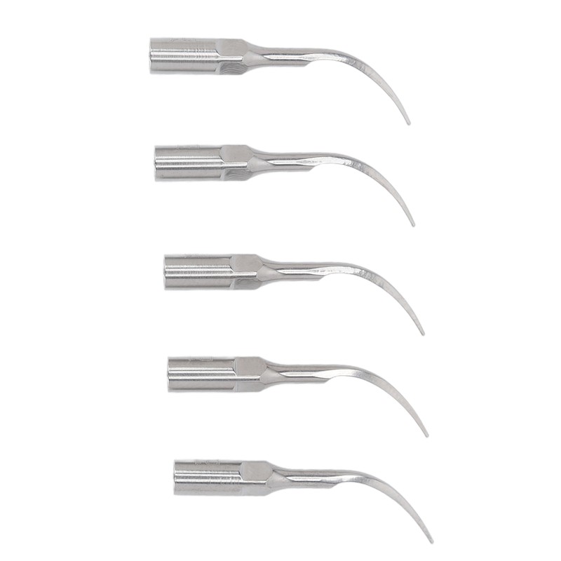 5pcs P1 Dental Clean Machine Tip Stainless Steel Heat Resistance