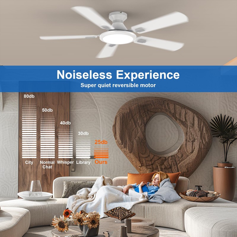 TCL Ceiling Fans with Lights, 52 Inch Low Profile Ceiling