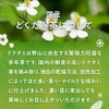 Oshi Saryo Domestically Produced Dokudami Tea Bags, 0.1 oz (3