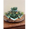 Aztec Temple Planter - Color: White granite - color only