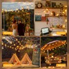 Ollny S11 Outdoor String Lights with Remote, 30 FT 3