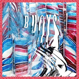Buoys by Panda Bear [Vinyl]