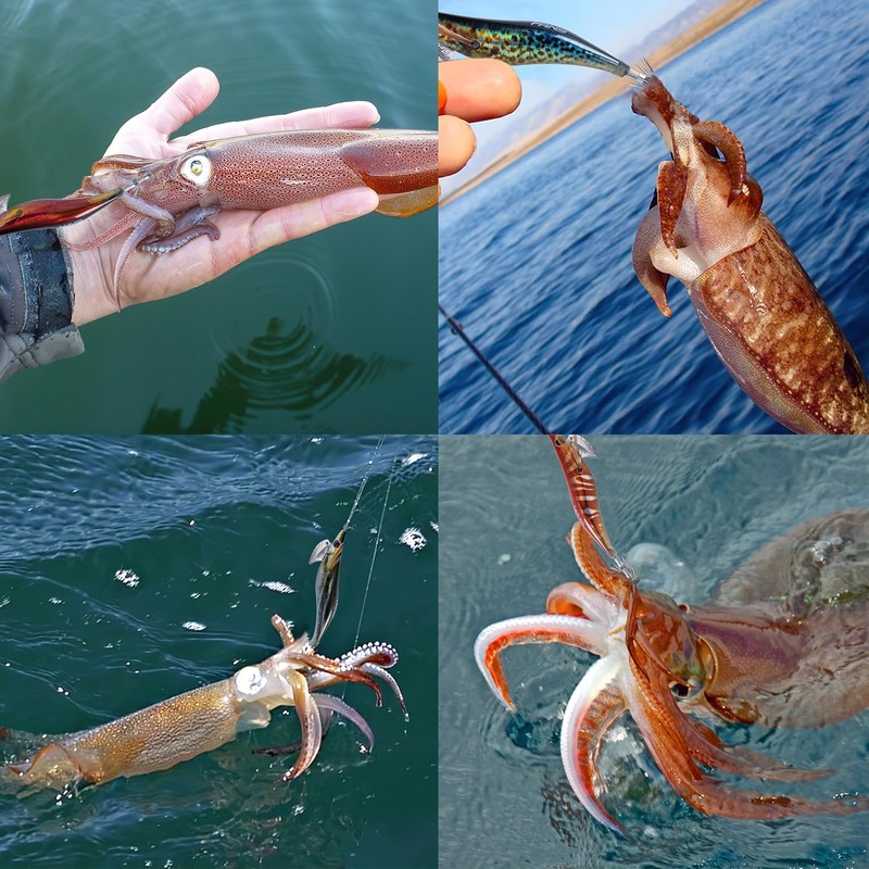 Goture Egging, No. 2, Bait Tree, Lure, Squid Fishing, Luminous