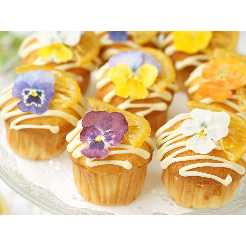 10 Dried Edible Flowers (White)