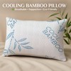 OMEO 2 Pack King Size Rayon Derived from Bamboo Pillow