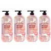 On the Body Super Botanic Rose Peony Body Wash 900g (4 packs) / 온더바디 수퍼보타닉 로즈 피오니 바디워시 900g 4개