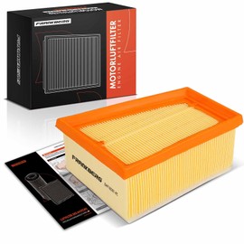 Frankberg Air Filter Insert Petrol Compatible with Duster HS Duster Box Logan LS Sandero Largus Estate Kubistar Box X76 Primastar Box X83 Replace# 1654600QAA