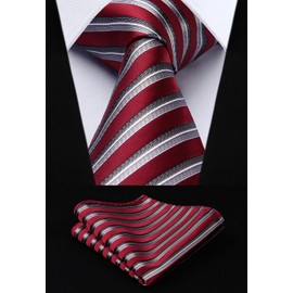 HISDERN Men's 5PCS Tie Gift Set Classic Elegant Ties and Handkerchief Lot 3 Pcs Formal Business Neckties Pocket Sqaure Wedding Necktie for Men