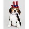 MR.CHUBBYFACE American Flag Dog Collar, 4th of July Puppy Collar
