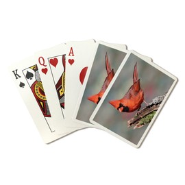 Lantern Press Cardinal (52 Playing Cards, Poker Size Card Deck with Jokers)