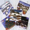Christmas Card Pack by Irish Artist Thomas Joseph - Greeting