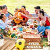 SYLVA Plant-Based Drinking Straws – Multi-Coloured, Durable Drinking Straws for