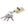 Profile Cylinder 30/45 Brass with 5 Keys