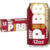 Mr Pibb Thrillin' Vanilla 12oz 12pk