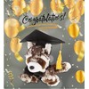 DolliBu Squat Red Panda Graduation Plush Toy - Super Soft