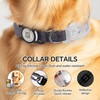 LED Smart QR Code Dog Collar - Lost at Night