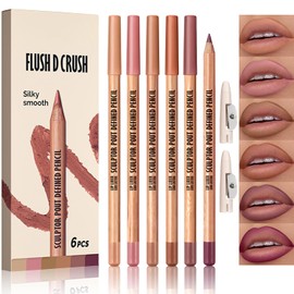 Erinde 6Pcs Lápiz Perfilador de Labios, Larga Duración y Resistente al Agua | con Punta que no se Corre ni Se Pega, Barra de Labios de Textura Cremosa y Alta Pigmentación, Fácil de Aplicar, #03