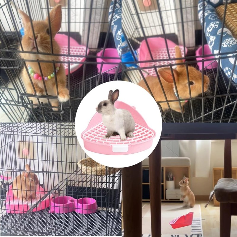 GYWHOOFT Rabbit Bath, 24.8 x 20.5 x 10.5 cm with