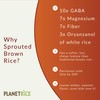 Planet Rice Bulk Sprouted Brown Rice Bulk - Great for