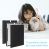 Breabetter XP360 Replacement Filter Set Compatible with Purafide XP360 Purifier,