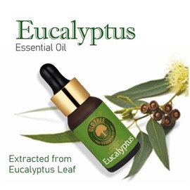 Old Tree Eucalyptus Essential Oil Pure, Natural and Undiluted for steam inhalation, Cold and cough, 15 ml