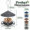 Hanging Bird Feeder for Wild Birds – Gazebo-Style Plastic Seed