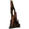 Underwater Treasures Petrified Wood - Large