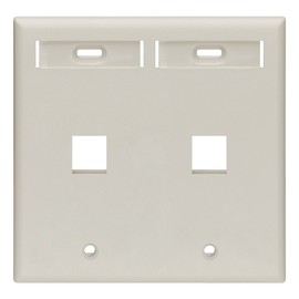 Leviton 2-Port Dual Gang QuickPort Wallplate with ID Windows, 42080-2TP, Light Almond