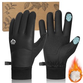 RIGWARL -5℉ Winter Warm Gloves with Thickest Thermal Plush for Extreme Cold Weather, Completely Waterproof Gloves Men Women, Lightweight Glove with Touchscreen Fingers for Hiking Running Skiing Work