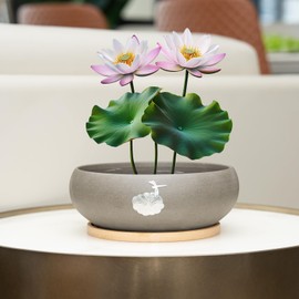 Ceramic Planters with Wooden Tray: 7" Hydroponic Lotus Bowl Planter for Water Lilies | Nature-Inspired Carvings Indoor/Outdoor Decorative Pot | Elegant Aquatic Garden Centerpiece