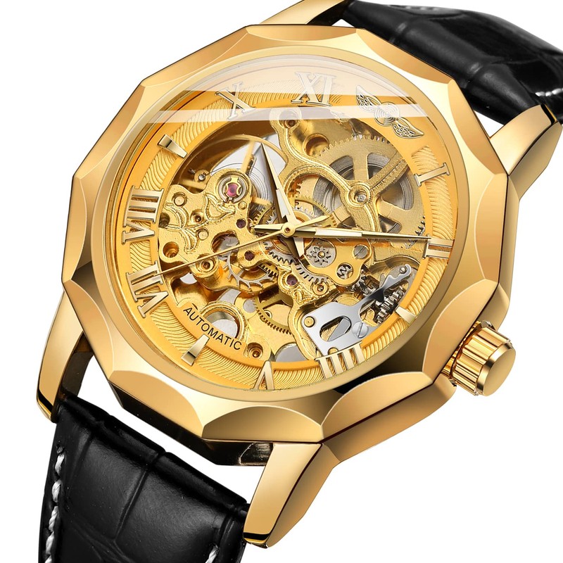 FORSINING Mens Automatic Mechanical Dodecagon Skeleton Roman Numerals Genuine Leather