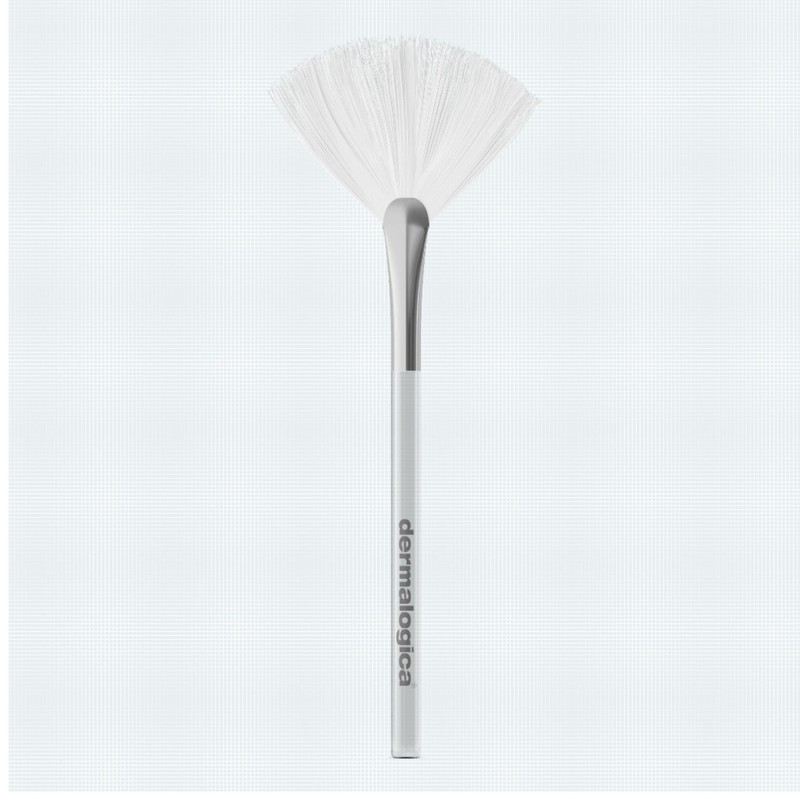 Dermalogica Light Up The Room Pack