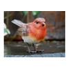 Homes on Trend Garden Robin Bird Ornament Statue Decorative Birds