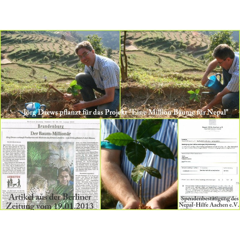 3D Postcard No. 10189 Lenticular Card Raccoons "WASCHBEAR FAMILY IN