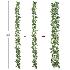 2Pcs 5.6FT Faux Tradescantia Zebrina Garland Plants Artificial Plant Hanging Leaves Greenery Garland Fake Vines Garland for Boho Indoor Outdoor Wedding Jungle Party Door Wall Stair Home Decor Green