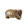 DMtse Chinese Feng Shui Brass Mini Cute Dragon Turtle Decor