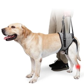 Dog Lifting Harness, Adjustable Dog Support Harness for Back Legs with Lift Handle, Portable Dog Slings for Medium Large Dogs Injuries Elderly Disabled Joint Canine (L)