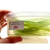 100g mixed green vitrigraph stringers, Bullseye Glass, for glass fusing