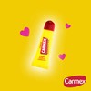 Carmex Classic Lip Balm 10 g tube pack of 12)